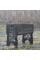 Мангал розбірний Сила в семье з індивідуальним гравіюванням- на подарунок