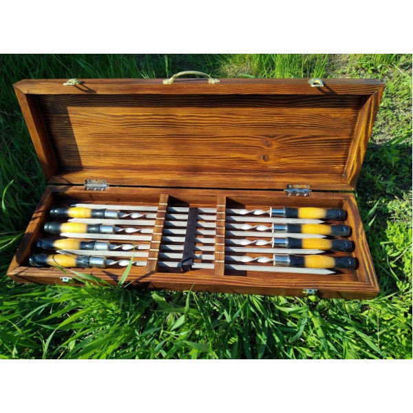 Набір шампурів у дерев'яному кейсі №6