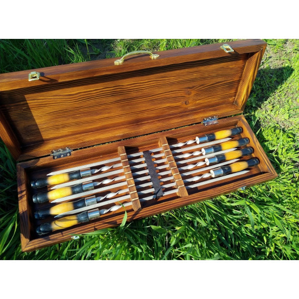 Набір шампурів у дерев'яному кейсі №6